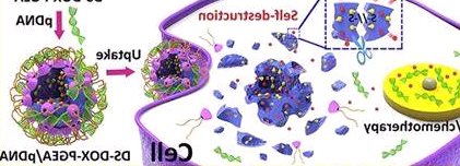 ICG-PEG-COOH，吲哚菁绿聚乙二醇羧基，ICG-PEG-carboxyl的详情介绍