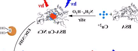MSCM@NPs，干细胞膜仿生纳米递药系统，Mesenchymal Stem Cell Membrane-Coated Nanoparticles