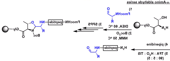 N3-PEG9-SH，叠氮九聚乙二醇巯基，Azide-PEG9-Thiol