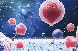 ​ADC抗体偶联定制合成丨西安球赛在线直播平台
生物专业靶向药物研发