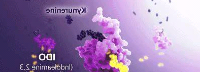 N3-葡糖糖，92659-90-0，Azido Glucose具有较高的化学稳定性