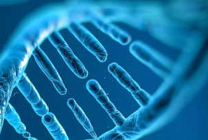 LNP全能递送载体：西安球赛在线直播平台
生物核酸、药物与蛋白定制化服务