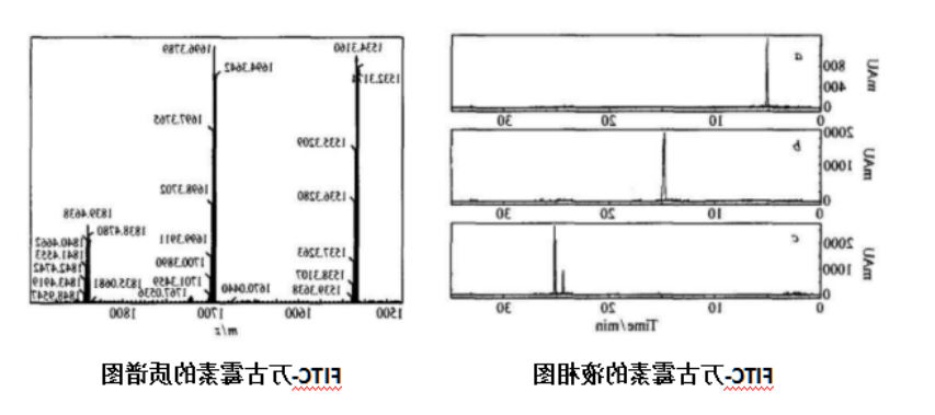 1594172294251452.png image.png