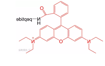 1600047785462304.png image.png