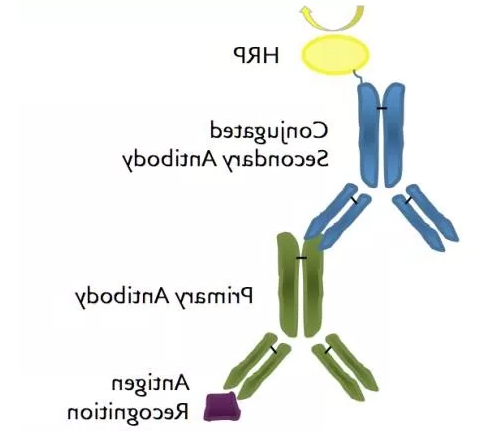 1603161212560842.png image.png