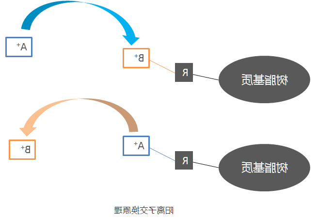 分离纯化单克隆抗体