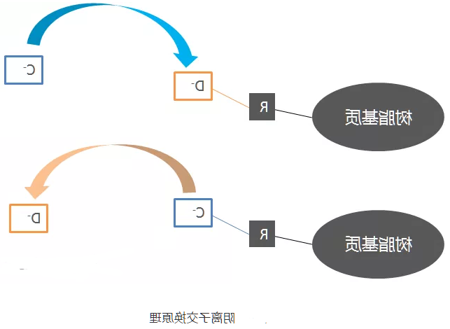 分离纯化单克隆抗体