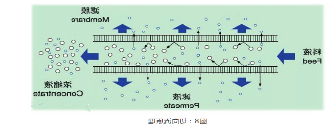 分离纯化单克隆抗体