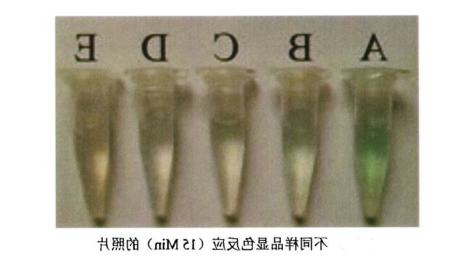 1607311185535788.png image.png