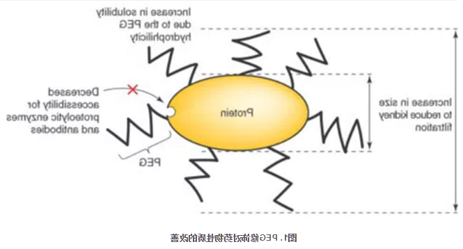 1610002632683763.png image.png