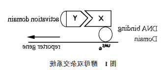 1612262293158148.png image.png