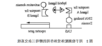 1612262427825532.png image.png
