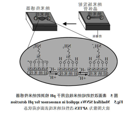 1614149497933683.png image.png
