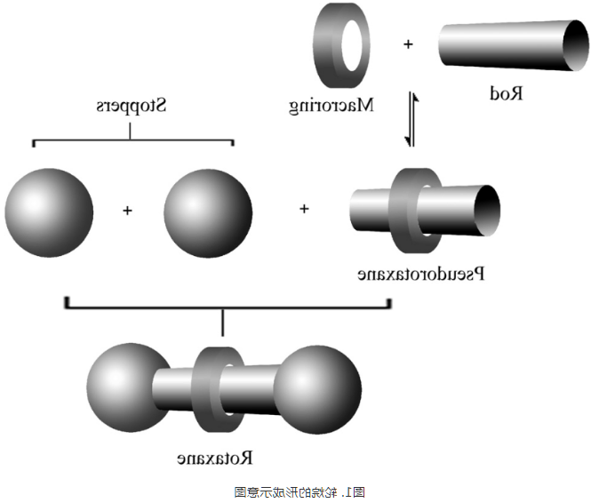 1615197060332581.png image.png
