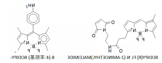 1619090040520068.png image.png