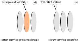 1620441504801616.png image.png