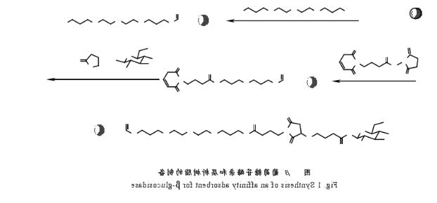 1625119814397182.png 1.png