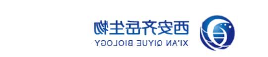 1641974649113094.png image.png