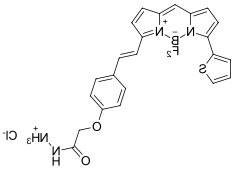 BDP 630/650 hydrazide,cas2183473-43-8.png BDP 630/650 hydrazide,cas2183473-43-8.png