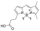 BDP FL carboxylic acid.png BDP FL carboxylic acid.png