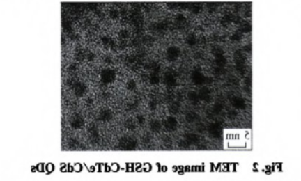 GSH-CdTe/CdSQDs.png GSH-CdTe/CdSQDs.png