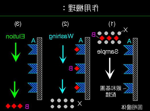亲和层析 亲和层析