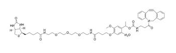 WS PC DBCO-Biotin WS PC DBCO-Biotin