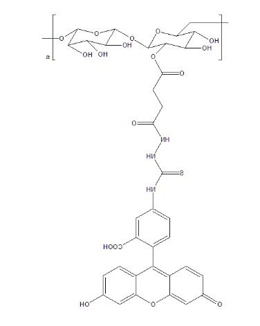 FITC-dextran FITC-dextran