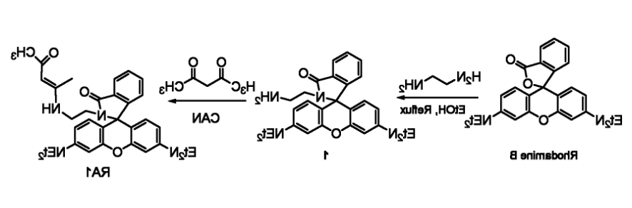 纤维素衍生物 