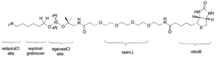DADPS H2/D2 Biotin Alkyne Pack DADPS H2/D2 Biotin Alkyne Pack