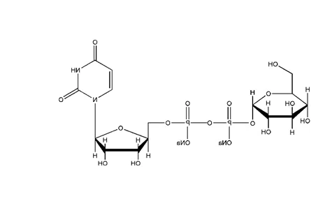 Glucose-UDP-(PEG)6-Fluorescein Conjugate Glucose-UDP-(PEG)6-Fluorescein Conjugate