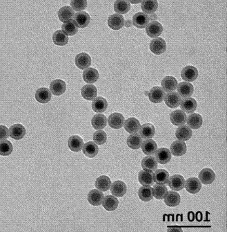 核壳结构上转换纳米粒 核壳结构上转换纳米粒