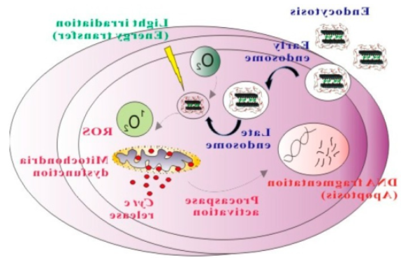 ICG