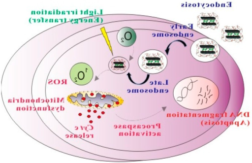 ICG-PLGA-lipid NPs