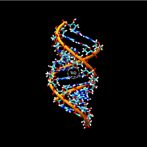 RNA(核糖核酸)偶联抗-8-甲基腺苷 (m8A) 抗体 RNA(核糖核酸)偶联抗-8-甲基腺苷 (m8A) 抗体