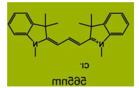 荧光染料CY3偶联聚合物纳米载体 荧光染料CY3偶联聚合物纳米载体
