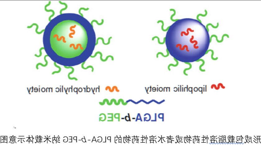 灯盏乙素-聚乙二醇-聚乳酸/羟基乙酸共聚物(PEG-PLGA)载药纳米粒