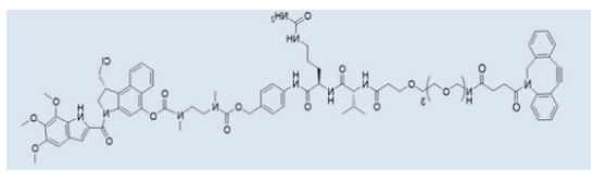 DBCO-PEG4-vc-PAB-Duocarmycin TM DBCO-PEG4-vc-PAB-Duocarmycin TM