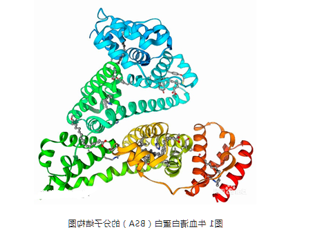 牛血清白蛋白 BSA 牛血清白蛋白 BSA