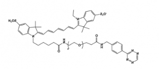 	Tetrazine-PEG-Cy7