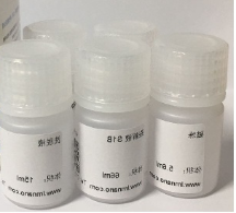 土壤基因组DNA提取试剂盒（磁珠法）