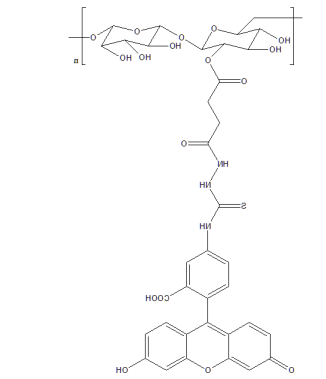 葡聚糖-环糊精 葡聚糖-环糊精