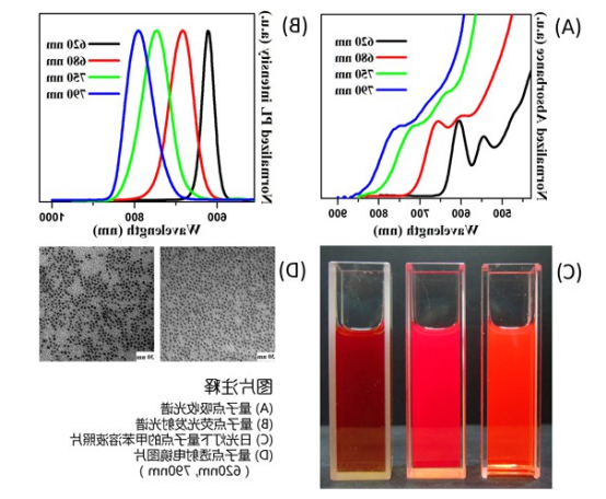 油溶性CdTe/CdSe/ZnS量子点 油溶性CdTe/CdSe/ZnS量子点