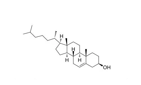 Cholesterol Cholesterol
