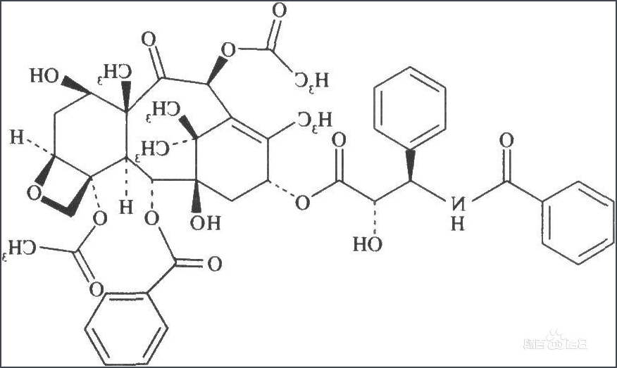 紫杉醇 紫杉醇