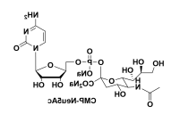5`-单磷酸腺嘌呤核苷-唾液酸二钠盐 5‘-单磷酸酯N-乙酰基神经氨酸