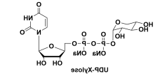 UDP-D-木糖 UDP-Xylose Uridine 5'-(trihydrogen diphosphate), P'-α-D-xylopyranosyl ester 