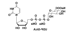 UDP-半乳糖，尿苷二磷酸-半乳糖,2Na 盐udp-α-D-半乳糖二钠