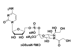 cas1955-26-6,UDP-rhamnose,尿苷二磷酸鼠李糖,二磷酸尿苷鼠李糖酯 cas1955-26-6,UDP-rhamnose,尿苷二磷酸鼠李糖,二磷酸尿苷鼠李糖酯