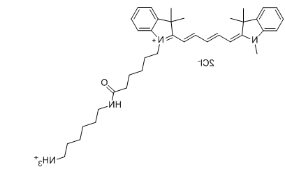 Sulfo CY5-NH2